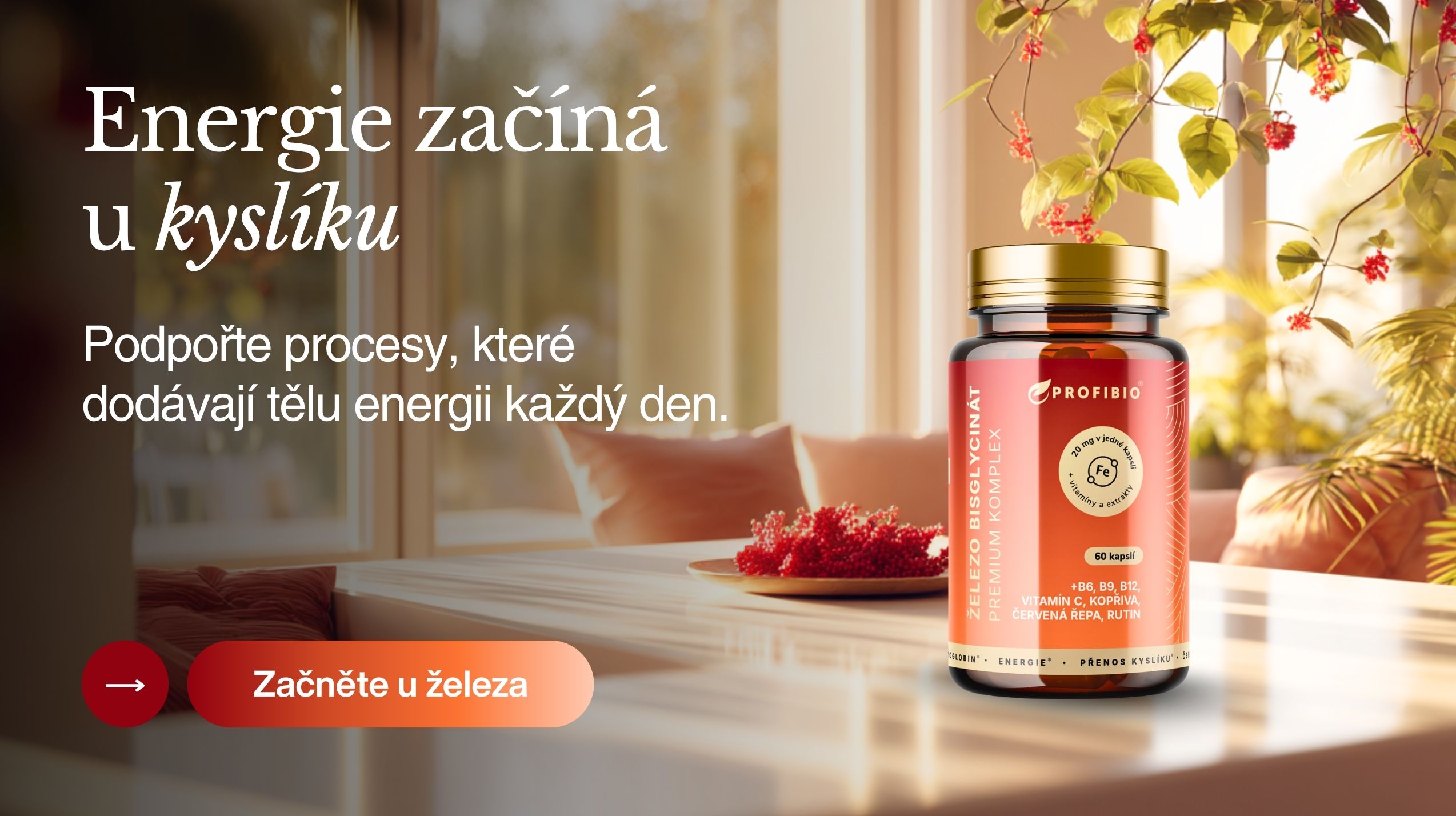 PREMIUM Železo bisglycinát OXYGEN & BLOOD KOMPLEX + B6, B9, B12, vitamín C, kopřiva, červená řepa, rutin (Chelátová forma železa s vysokou vstřebatelností), 60 kapslí -1